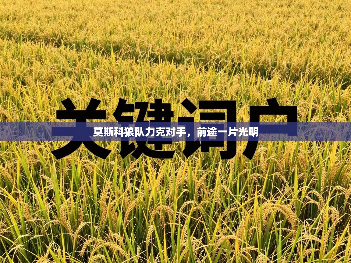 莫斯科狼队力克对手，前途一片光明  第1张