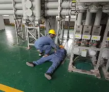 古斯塔夫不满当值裁判，现场爆气咆哮的简单介绍
